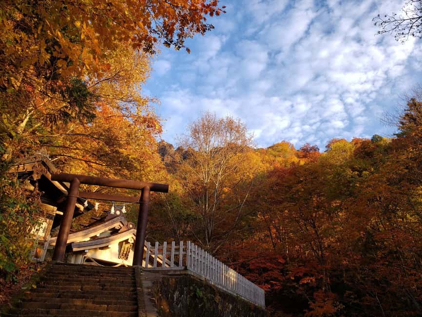 Nagano: Togakushi Shrine of 1400 Years & Farm-to-Table Lunch - Photo Memories Without the Usual Tourist Pressure