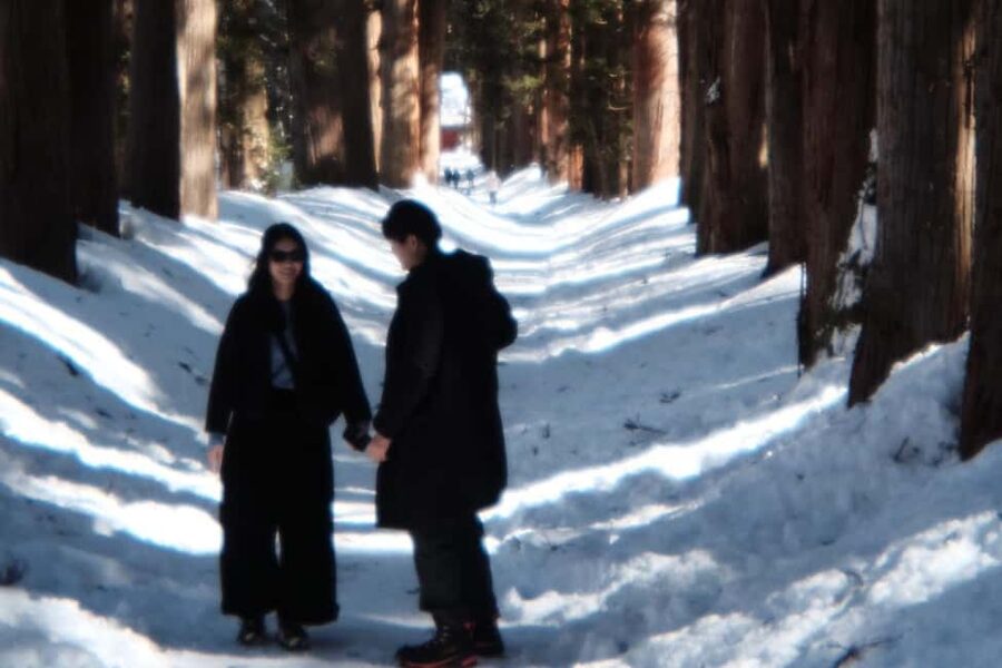 Nagano: Togakushi Shrine of 1400 Years & Farm-to-Table Lunch - Private Transport Solves a Real Nagano Problem