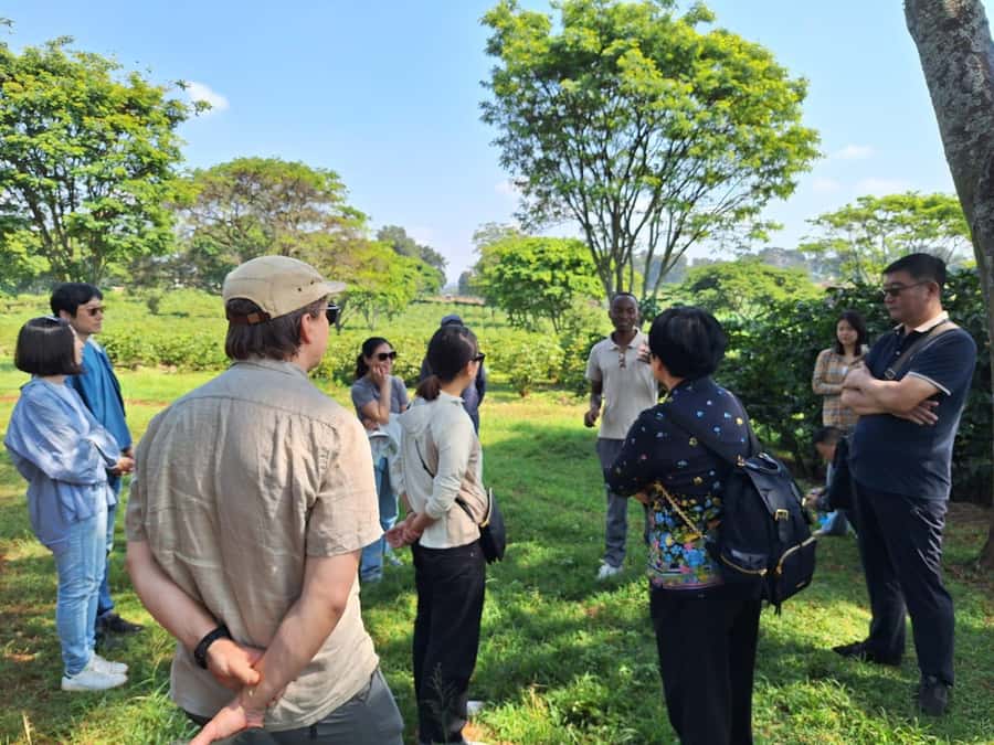 Nairobi: Coffee farm tour with pick up - Walking through Fairview’s coffee fields