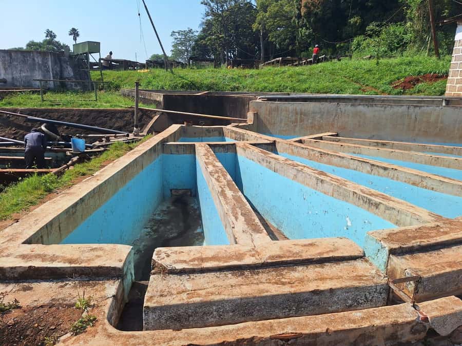Nairobi: Coffee farm tour with pick up - Patio views and a slower cup