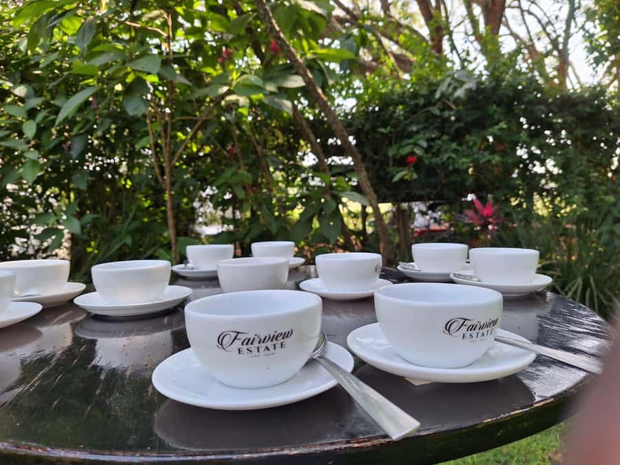 Nairobi: Coffee farm tour with pick up - The 9:00 AM pickup and the first practical warning