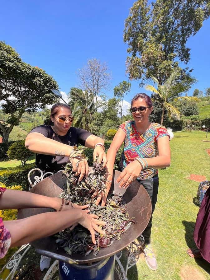 Nairobi: Purple Tea Farm Gatura Greens Day Trip - Walking through the bamboo forest