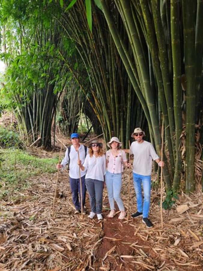 Nairobi: Purple Tea Farm Gatura Greens Day Trip - A three or four-course farm lunch