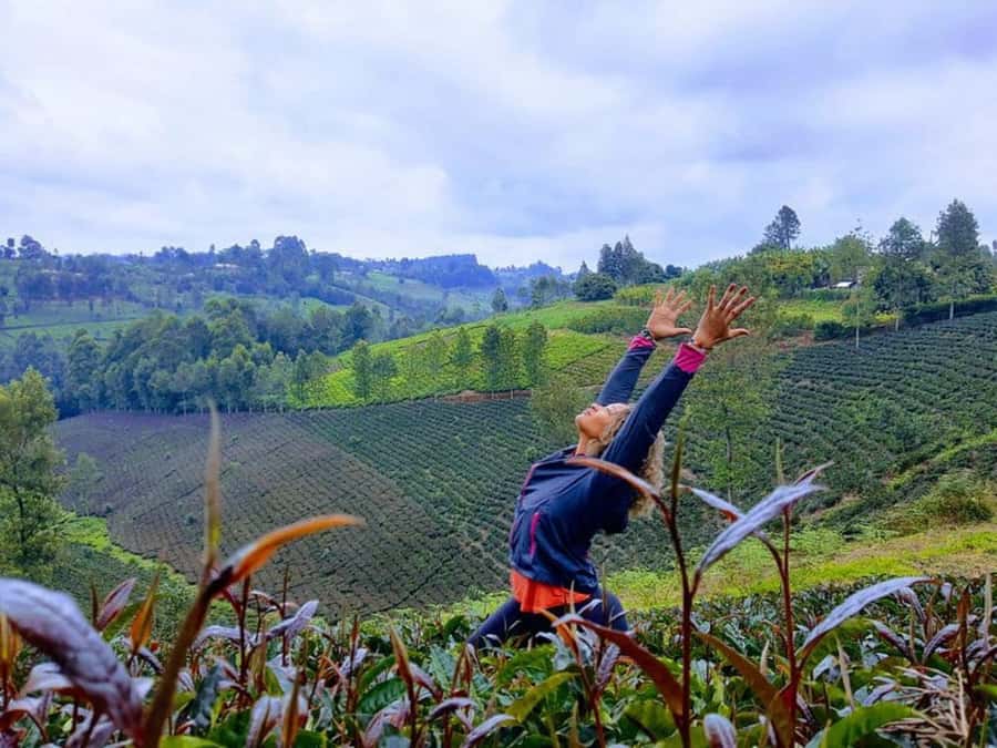 Nairobi: Purple Tea Farm Gatura Greens Day Trip - What the $99 total really buys you