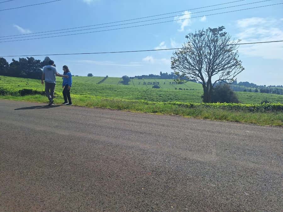 Nairobi: Tea Farm Day Trip with Lunch at kiambethu - The real issue: pickup and the extra $42