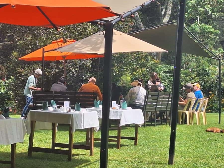 Nairobi: Tea Farm Day Trip with Lunch at kiambethu - Who should book this day trip?