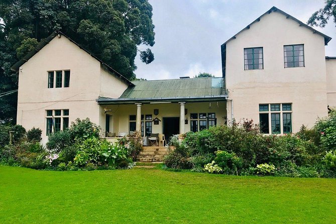 Nairobi to Kiambethu Tea Farm Tour - Who will enjoy this day most