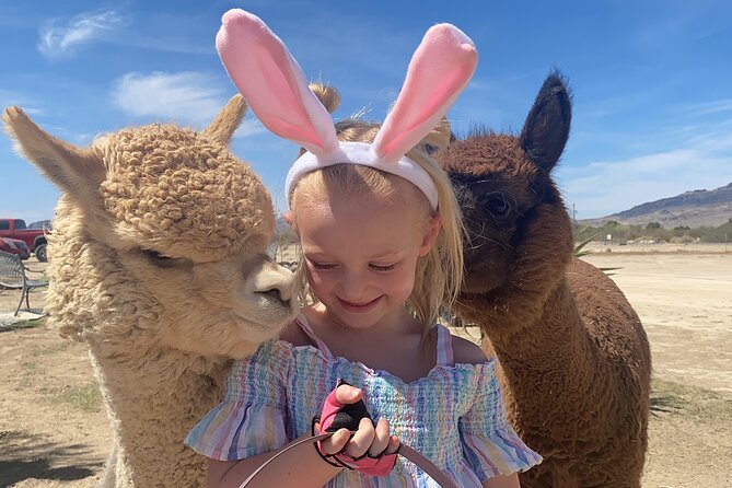 Nature Health Farms Alpaca Farm Petting Zoo Pahrump Death Valley - Key points at a glance