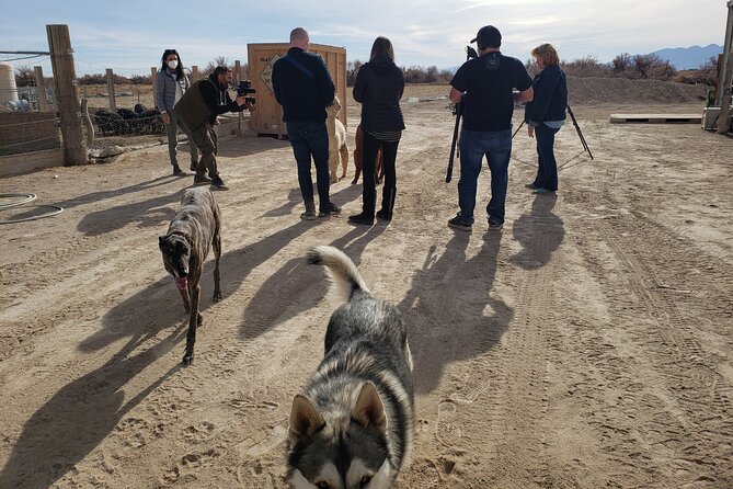 Nature Health Farms Alpaca Farm Petting Zoo Pahrump Death Valley - Building This Into a Pahrump Day