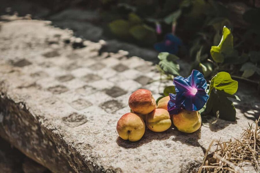 Naxos: Family Farm-table Cooking, Kouros Tour & Live Music - The Kouros of Melanes during the cooking