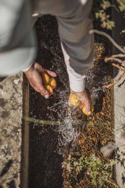 Naxos: Family Farm-table Cooking, Kouros Tour & Live Music - What the price includes at $117