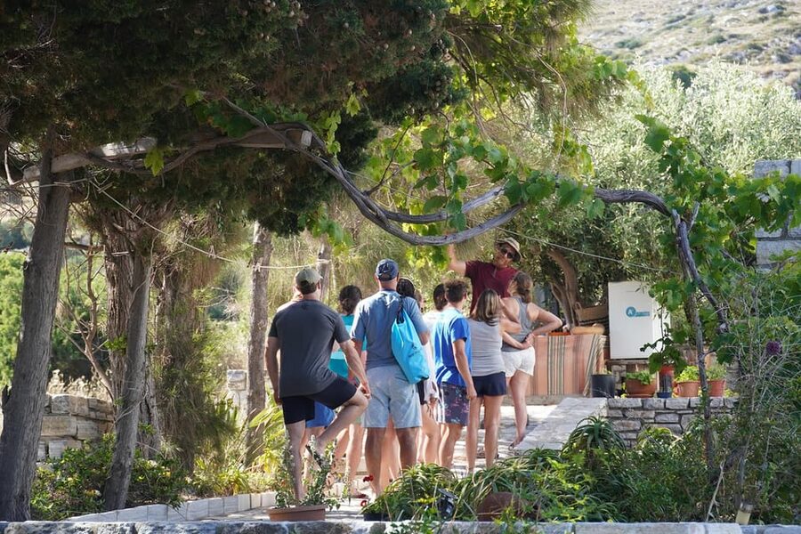 Naxos: Kampos Farm Sea Kayak Tour with Snorkeling & Picnic - Transport and practical timing
