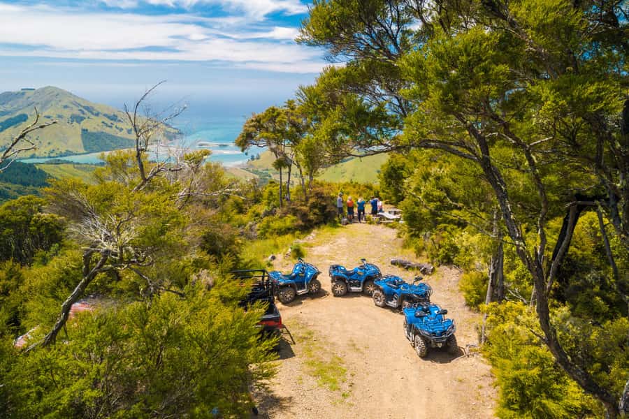 Nelson: Guided Quad Biking Tour Through Forest and Farmland - Starting at Cable Bay Adventure Park