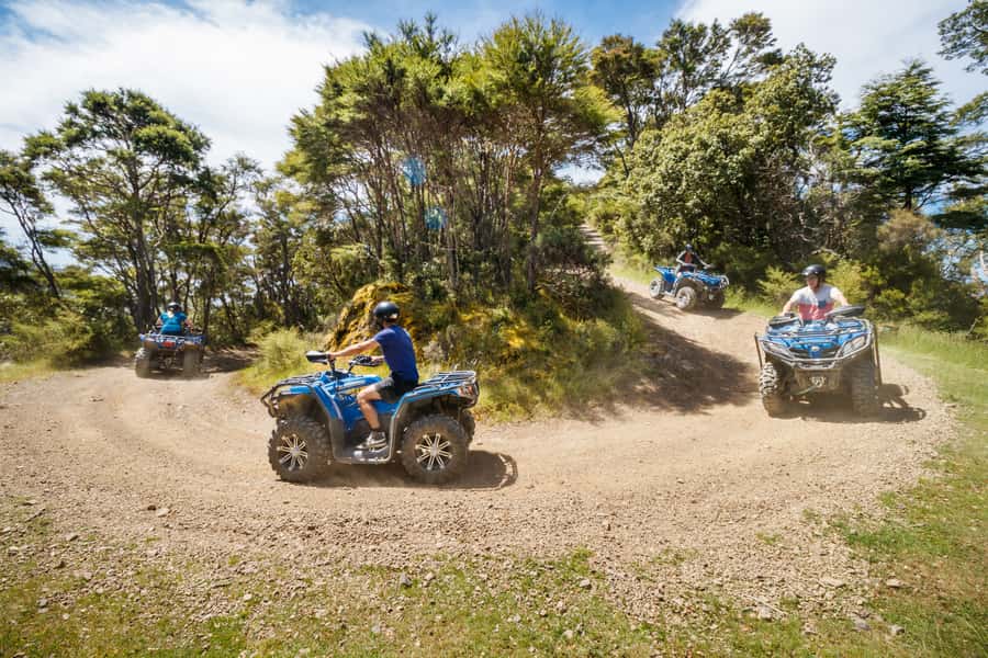 Nelson: Guided Quad Biking Tour Through Forest and Farmland - Should You Book the Cable Bay Quad Bike Tour?
