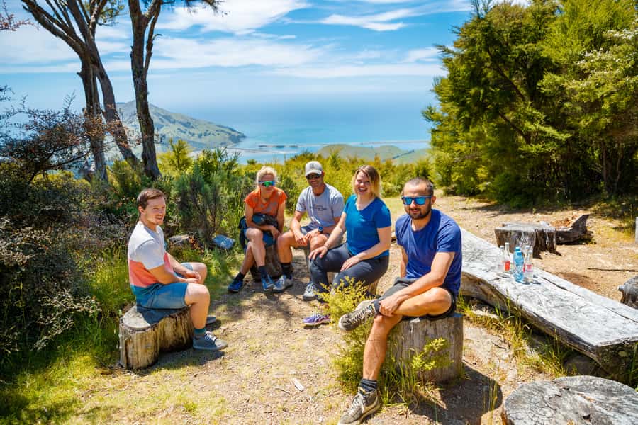 Nelson: Guided Quad Biking Tour Through Forest and Farmland - Skywire Hill and the High Viewpoint