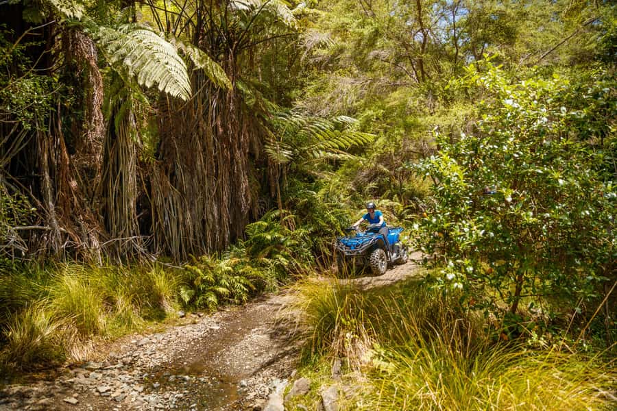 Nelson: Guided Quad Biking Tour Through Forest and Farmland - Descending Through the Farm and Returning to Base