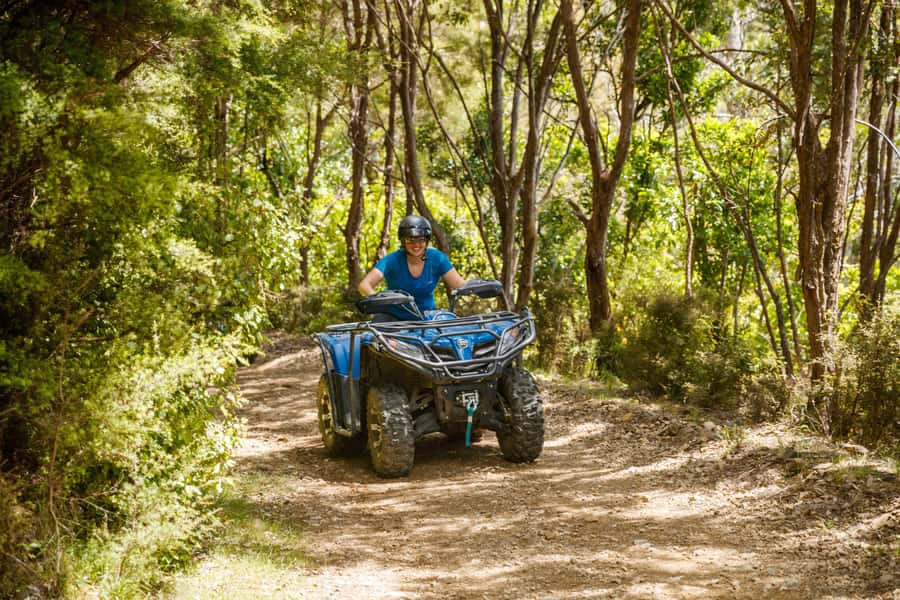 Nelson: Guided Quad Biking Tour Through Forest and Farmland - What the $80 Price Delivers