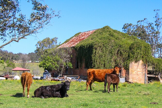 Newcastle: Country Towns River & Farm Tour with BBQ - Why this Newcastle day trip feels different