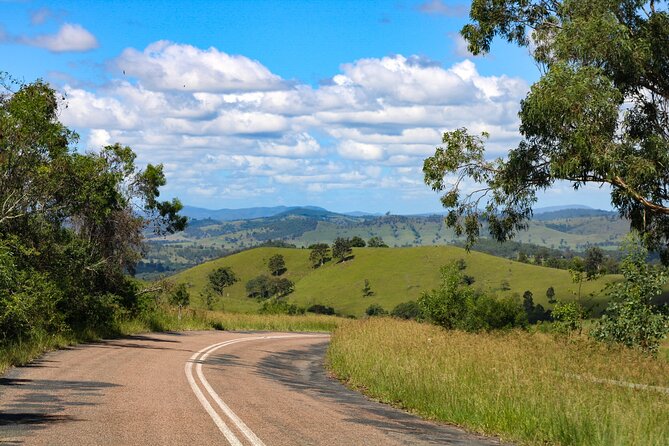 Newcastle: Country Towns River & Farm Tour with BBQ - Transport, timing, and group size