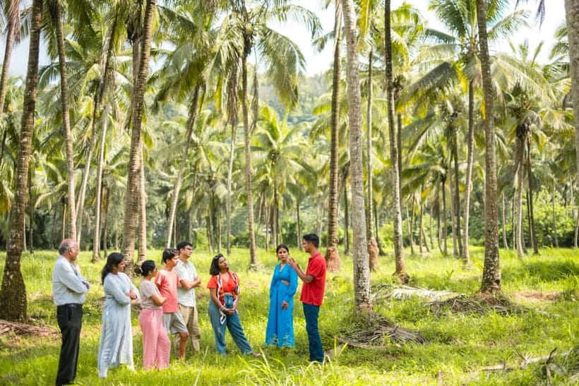 North Goa: Mulgao Village and Coconut Farming Experience - Key points at a glance