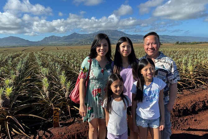 North Shore Dole Pineapple Farm Tour - Five things to know before you book