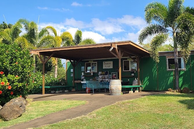 North Shore Farm: Anahulu River, Kayak-Sup, Turtles, Lunch & More - How the $80 value works