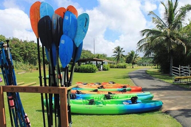 North Shore Farm: Anahulu River, Kayak-Sup, Turtles, Lunch & More - Timing, preparation, and small practical tips