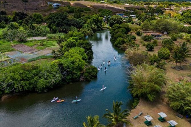 North Shore Farm: Anahulu River, Kayak-Sup, Turtles, Lunch & More - Kayaking or paddleboarding on the Anahulu River