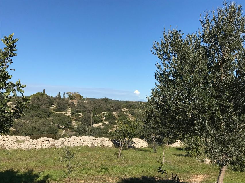 Noto: Farm to Fork in Sicily - Cooking Class in a Farm - Should you book the Noto farm cooking class?