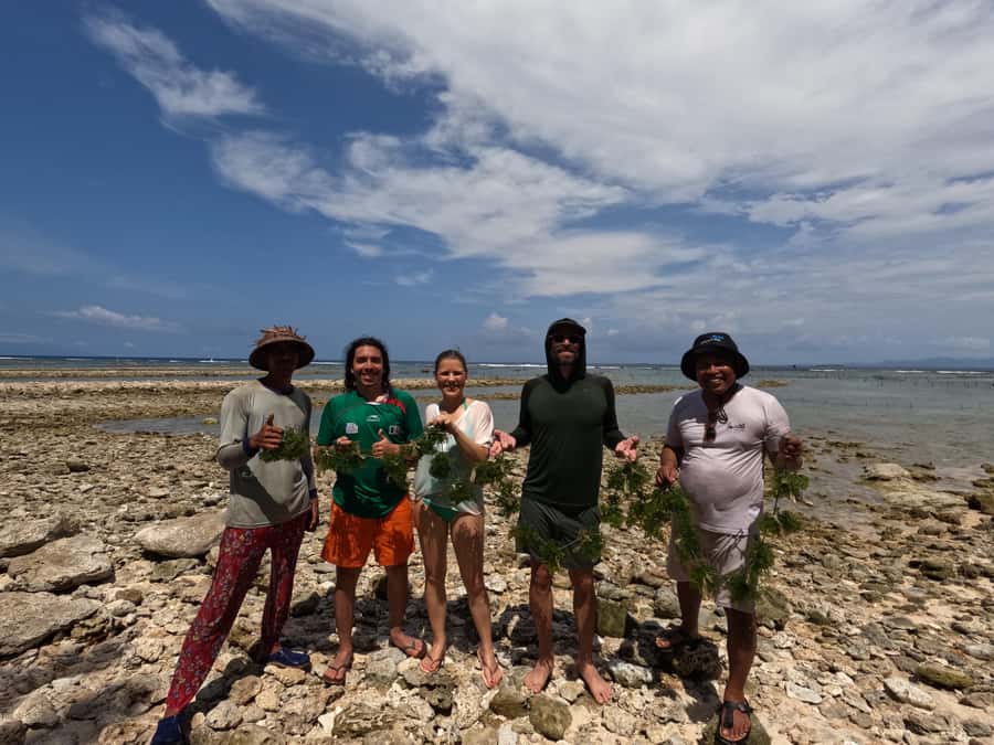 Nusa Penida: Ecotourism, Seaweed Farming & East Tour - Lunch, snacks, and the social side
