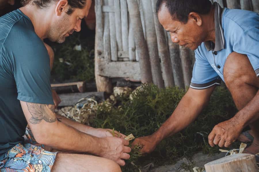 Nusa Penida: Ecotourism, Seaweed Farming & East Tour - Who will enjoy this experience most?