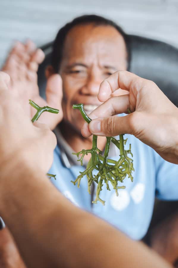 Nusa Penida: Ecotourism, Seaweed Farming & East Tour - Meeting the seaweed farmers