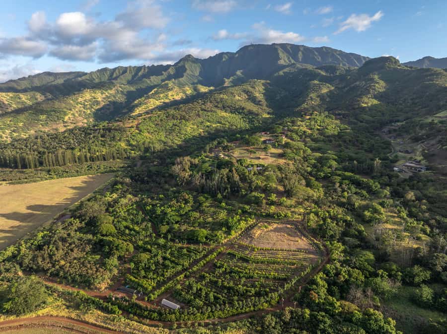 Oahu: Chocolate Farm Tour with Tasting - Kamananui Cacao - Key points to know before you go