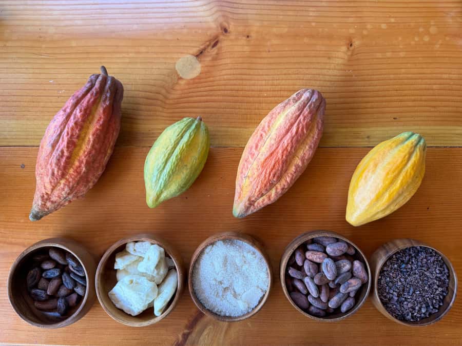 Oahu: Chocolate Farm Tour with Tasting - Kamananui Cacao - Simple ways to prepare for the visit