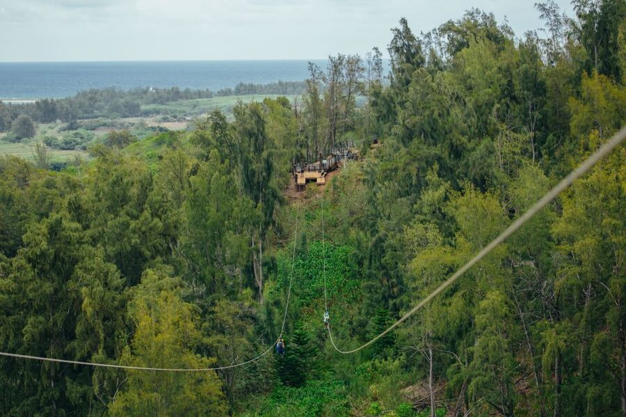 Oahu: North Shore Zip Line Adventure with ATV and Farm Tour - Should you book the North Shore zip line tour?