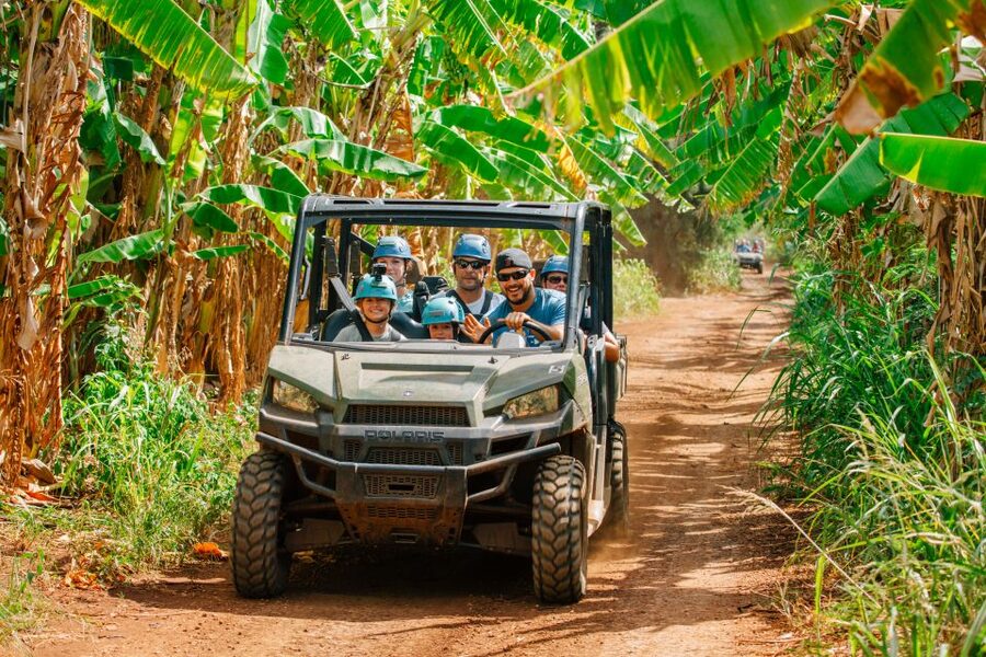 Oahu: North Shore Zip Line Adventure with ATV and Farm Tour - What the views are really like