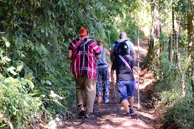 Off the Map Chiang Mai Jungle Coffee Trek Roast and Brew - Walking through coffee country in Mae Wang National Park