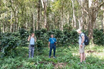 Off the Map Chiang Mai Jungle Coffee Trek Roast and Brew