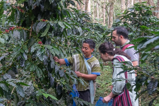 Off the Map Chiang Mai Jungle Coffee Trek Roast and Brew - Is $123.87 a fair price?