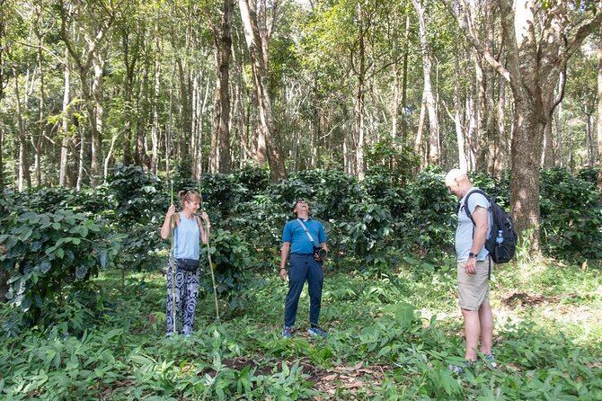 Off the Map Chiang Mai Jungle Coffee Trek Roast and Brew - Planting a coffee tree for the future