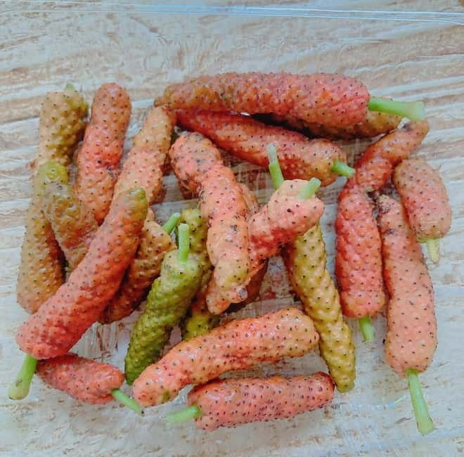Okinawa: Traditional farming experience & cooking and a meal - Harvesting vegetables and island ingredients