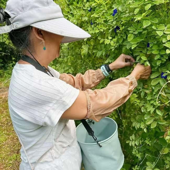 Okinawa: Traditional farming experience & cooking and a meal - Making Okinawan kusu as a take-home souvenir