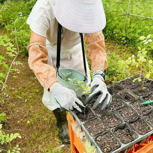 Okinawa: Traditional farming experience & cooking and a meal - Cooking traditional Okinawan dishes together