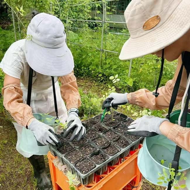 Okinawa: Traditional farming experience & cooking and a meal - What the $61 price includes