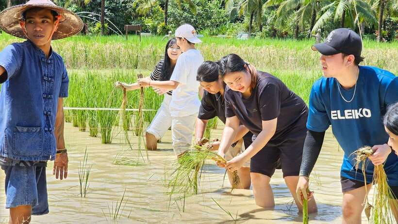 Old Phuket Farm Ticket - Countryside Local Life Culture - Is $36 a fair price for two hours?
