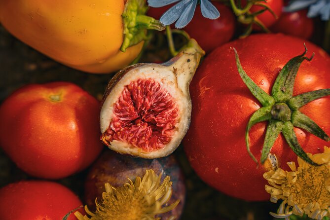 Olive farm & village - What makes this farm visit special