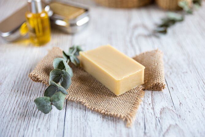Olive harvest, visit to the oil mill and typical lunch - What the $120.41 price includes