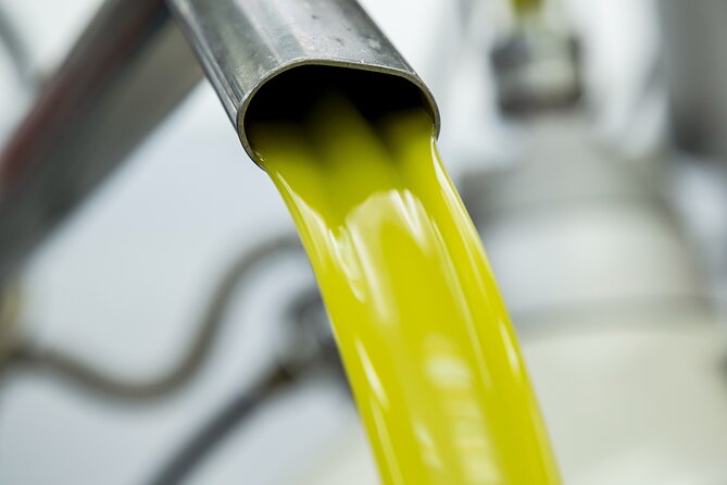 Olive harvest, visit to the oil mill and typical lunch - Planning this as a Syracuse or Catania outing