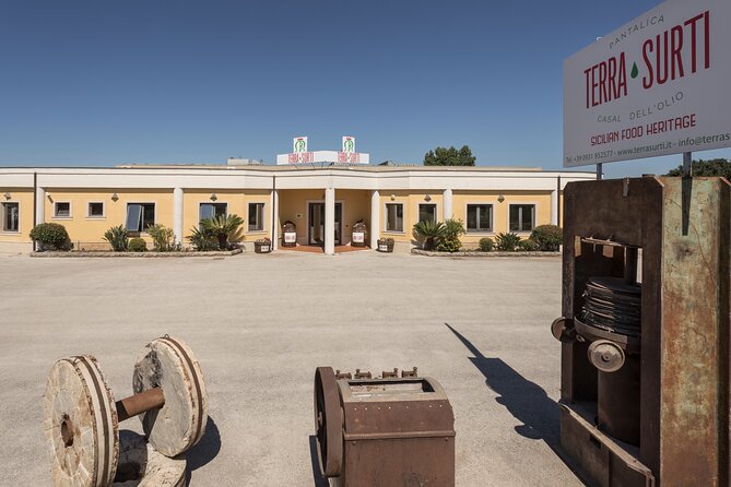 Olive harvest, visit to the oil mill and typical lunch - Who will enjoy this most