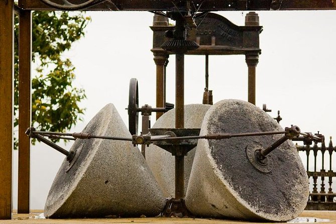 Olive Oil Farm Tour with Tasting from Seville - The tasting room and what you will learn